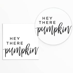 May include: Two white decorative signs with the text "HEY THERE pumpkin" in black script. One sign is square, and the other is a circle. The signs are likely used for fall or autumn decor.