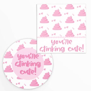 May include: Pink and white round sticker with a pink poop emoji and the text "you're stinking cute!"