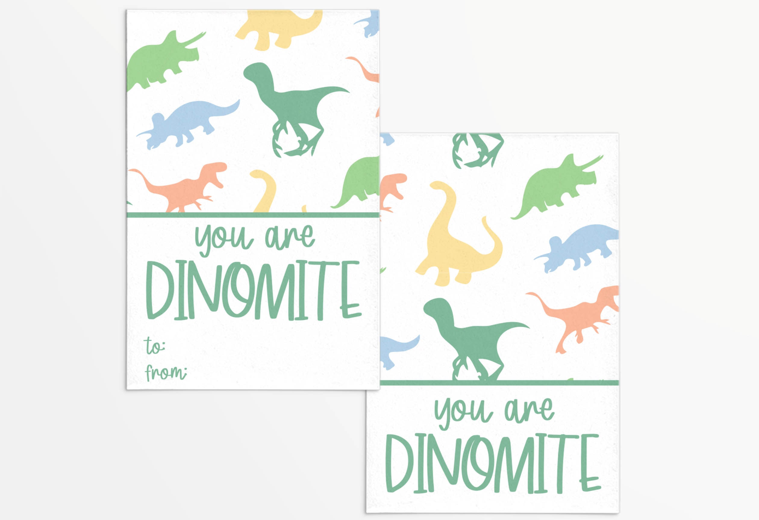 You Are Dinomite 3x2 Tag with Green Orange Blue Dino Etsy