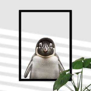 Pinguin-Baby Wandbild für Kinderzimmer - Wildtier Bild, Wand-Deko, Babyzimmer Boho Poster Mädchen und Junge, Geschenk zur Geburt oder Taufe