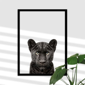 Mural de la pantera negra para la habitación de los niños - Imagen de vida silvestre del leopardo, Gato safari africano como impresión artística, Imagen del póster de la habitación del bebé A4