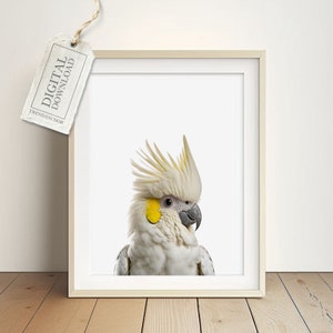 Papagei Kakadu Druck für Babyzimmer -Australischer Vogel Bild, Babyzimmer Poster Mädchen und Junge, Dekoration Mama Papa, Digitaler Download