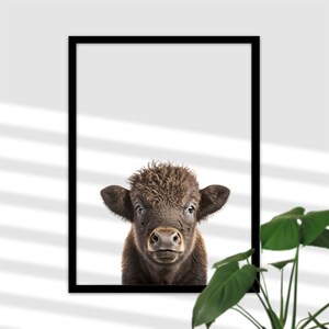 Baby Bison Tier-Foto für Kinderzimmer - Wildtier Büffel Bild, Wand-Deko, Babyzimmer Poster Mädchen und Junge, Geschenk zur Geburt oder Taufe