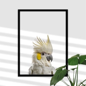 Papagei Kakadu Druck für Kinderzimmer - Australischer Vogel Bild, Wand-Deko, Babyzimmer Poster Mädchen und Junge, Geschenk zur Geburt, Taufe