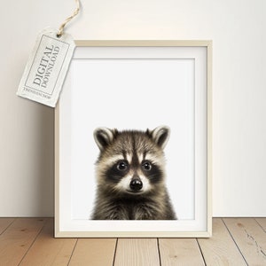 Baby Raccoon Picture for Kids Rooms -Native Forest Animals, Pictures Raccoons Baby Room, Funny Raccoons Poster Girls Digital Download