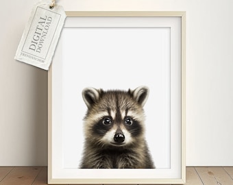 Baby Raccoon Picture for Kids Rooms -Native Forest Animals, Pictures Raccoons Baby Room, Funny Raccoons Poster Girls Digital Download