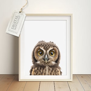 Baby Owl Mural for Kids Room - Wildlife Image, Baby Room Boho Poster Girl Boy, Gift Birth or Baptism, Digital Download