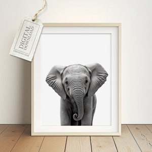 Baby Elefanten Kunstdruck - Safari Tiere Poster, Dschungel Baby Schlafzimmer Druck, Sofort-Download, Digitaler Download, Druckbares Bild A4