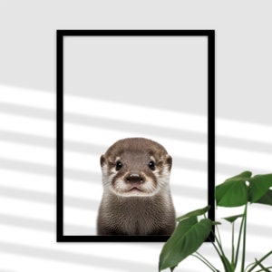Fotografia di Baby Otter per Baby Room - Animali del fiume, Decorazione murale, Poster della stanza dei bambini Ragazza e ragazzo, Regalo per la nascita o il battesimo