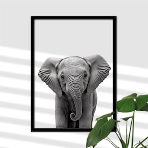 Baby Elefanten Kunstdruck - Safari Tiere Poster, Dschungel Baby Schlafzimmer Druck, Wildtiere Bild, Babyzimmer Poster, Druckbares Bild A4