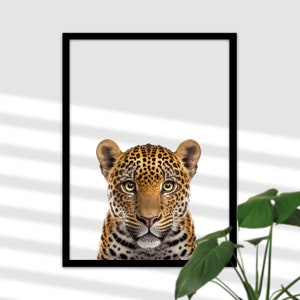 Jaguar Safari Cat Picture for Bedroom - African Wildlife Mural, Baby Room Wall Art Girl and Boy, Gift Poster A4