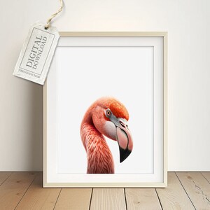 Flamingo Wall Art - Bird Picture, Wall Deco, Baby Room Safari Poster Girl and Boy, Gift for Birth or Baptism, Instant Download,