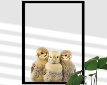 Baby Chick Farm Picture for Baby Room - Chicken Nursery Decoration, Farm Animal Poster, Head Photo, Gift for Girls and Boy