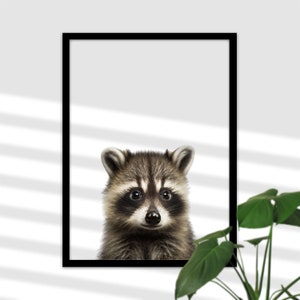 Baby Waschbär Bild für Kinderzimmer - Heimische Waldtiere, Bilder von Waschbären Babyzimmer, Lustige Waschbären Poster Mädchen und Junge