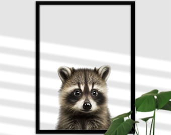 Baby Raccoon Picture for Kids Room - Native Forest Animals, Pictures of Raccoons Baby Room, Funny Raccoon Posters Girls and Boys