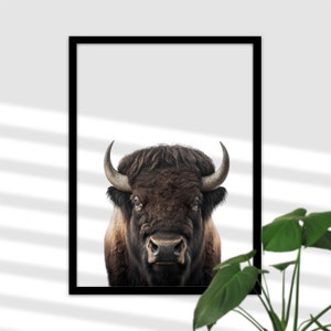Bison Wandbild für Kinderzimmer - Büffel Wildtier Foto, Wand-Deko, Babyzimmer Poster Mädchen und Junge, Modern Minimalistische Fotografie
