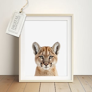Puma Wall Photo for Minimalist - African Safari Cat Puma, Wall Decoration Living Room, Baby Room Poster Digital Download