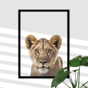 Lioness Safari Baby Room Decoration - Imagen imprimible A4, Wildlife Safari Art to Print, Baby Room Poster Girl and Boy