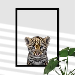 Mural Baby Jaguar Wildcat para Kids Room - Imagen de Vida Silvestre, Póster de Baby Room A4, Niña y Niño, Regalo para Nacimiento o Bautismo