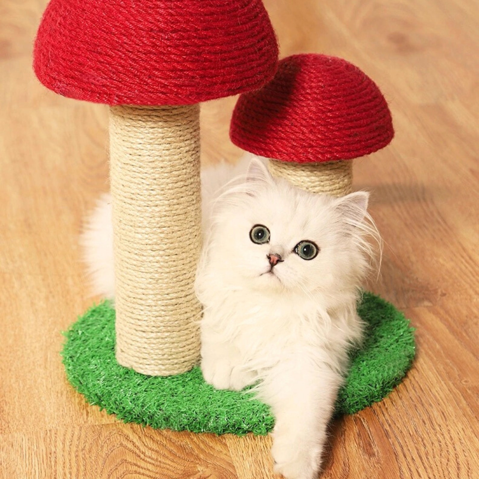 Mushroometto Mushroom Cat Tree Tower Green Cat Scratching Post Etsy