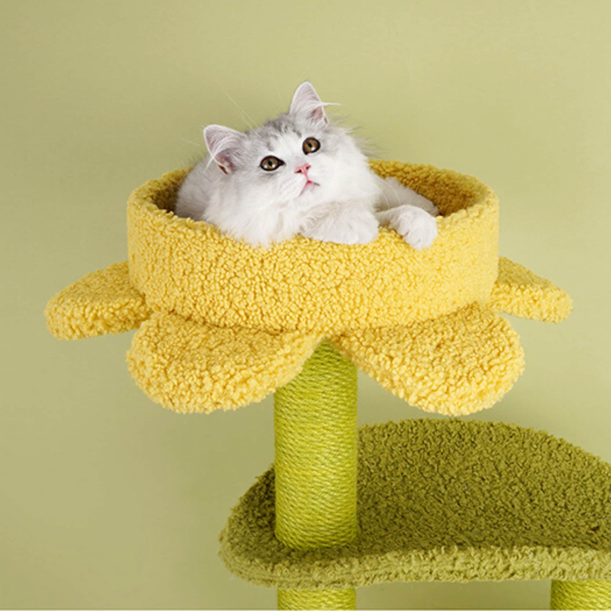 Lotusleaf Green Cat Tree Tower Flower Cat Tree Large Cat Bed Etsy