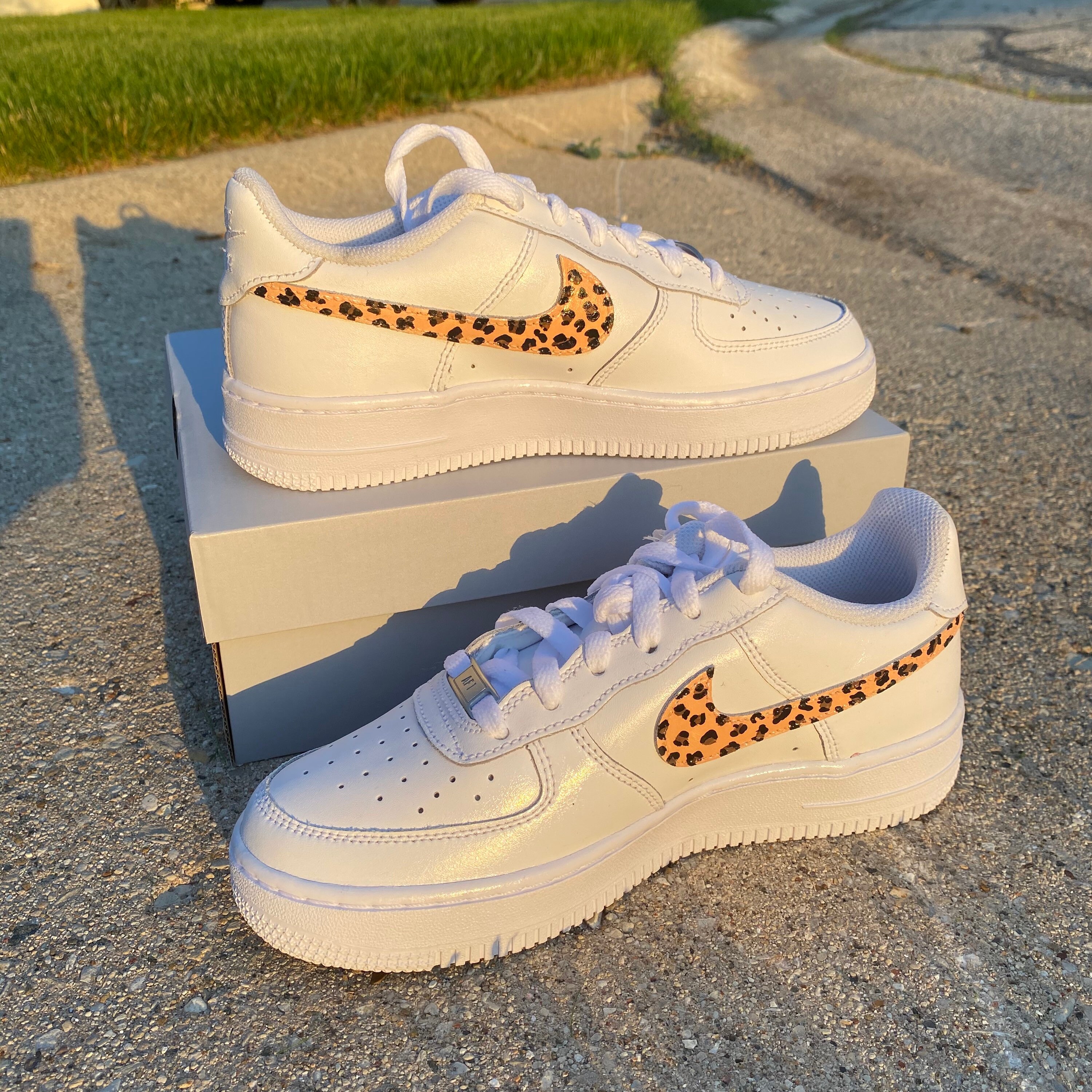 cheetah air force 1