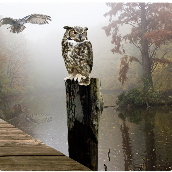 Personalized Mouse Pad, Thick, Fabric Topped 7.75" x 9.25" Mousepad. Owl Sitting On Dock Post