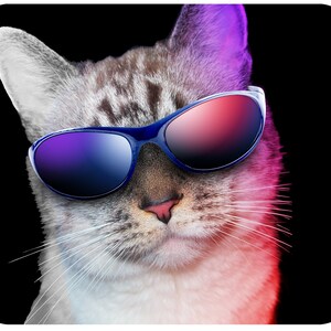 Personalized Chonk Cat Mouse Pad Cat Lover Gift Computer Desk Etsy