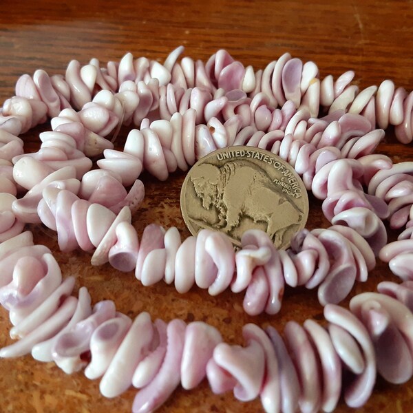 Cebu Beauty Freeform Shell Beads 16 1/2" Strand