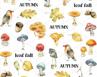 Mushrooms, Leaves, Birds Autumn Fall - Waterslide Water Transfer Nail Art Decals, Nail Tattoo, Nail Stickers