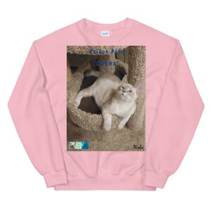 May include: Pink sweatshirt with a photo of a white cat in a cat tree. The text "Rescue Pets" and "Chena" are printed on the sweatshirt. The text "Nisko" is printed below the photo.