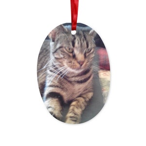 Tabby Katze Hängende Weihnachtskugel Keramik