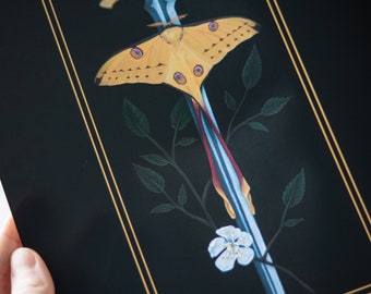 Lámina de la Espada de la Doncella - Polilla Cometa - Arte Fantástico - Decoración Gótica - Academia Oscura - Cottagecore Oscuro - Whimsigoth - Arte Medieval