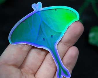 Luna Moth Holographic Vinyl Sticker - Witchy Stickers - Rainbow Holo Sticker - Waterproof Stickers - Water Bottle Stickers - Entomology