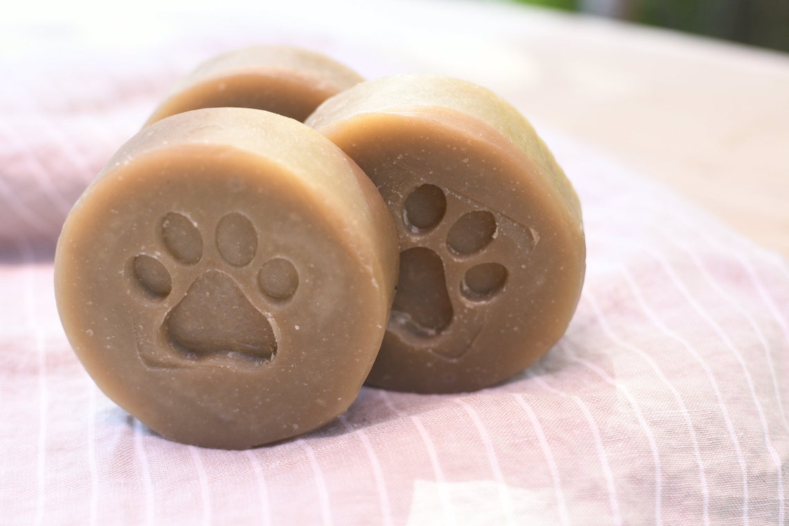 Dog Shampoo With Neem Oil and Colloidal Oatmeal Natural & Etsy