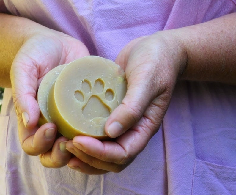 Dog Shampoo With Colloidal Oatmeal Natural & Organic Etsy