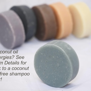 K&ouml;nnte beinhalten: Sechs runde Seifenst&uuml;cke in verschiedenen Graut&ouml;nen, Braun- und Beiget&ouml;nen. Die Seifenst&uuml;cke sind in einer Reihe angeordnet, wobei das graue St&uuml;ck im Vordergrund steht. Der Text "Coconut oil allergies? See Item Details for link to a coconut oil free shampoo bar!" steht unter den Seifenst&uuml;cken.