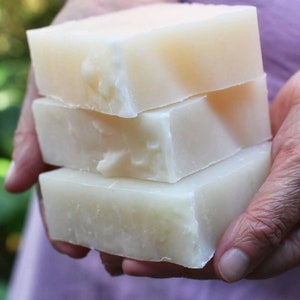 Solid Dish Soap Bar: Vegan, Plastic-Free, Zero Waste (6.5 oz)