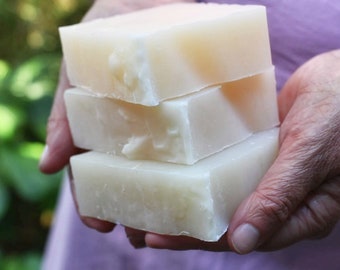Solid Dish Soap Bar: Vegan, Plastic-Free, Zero Waste (6.5 oz)
