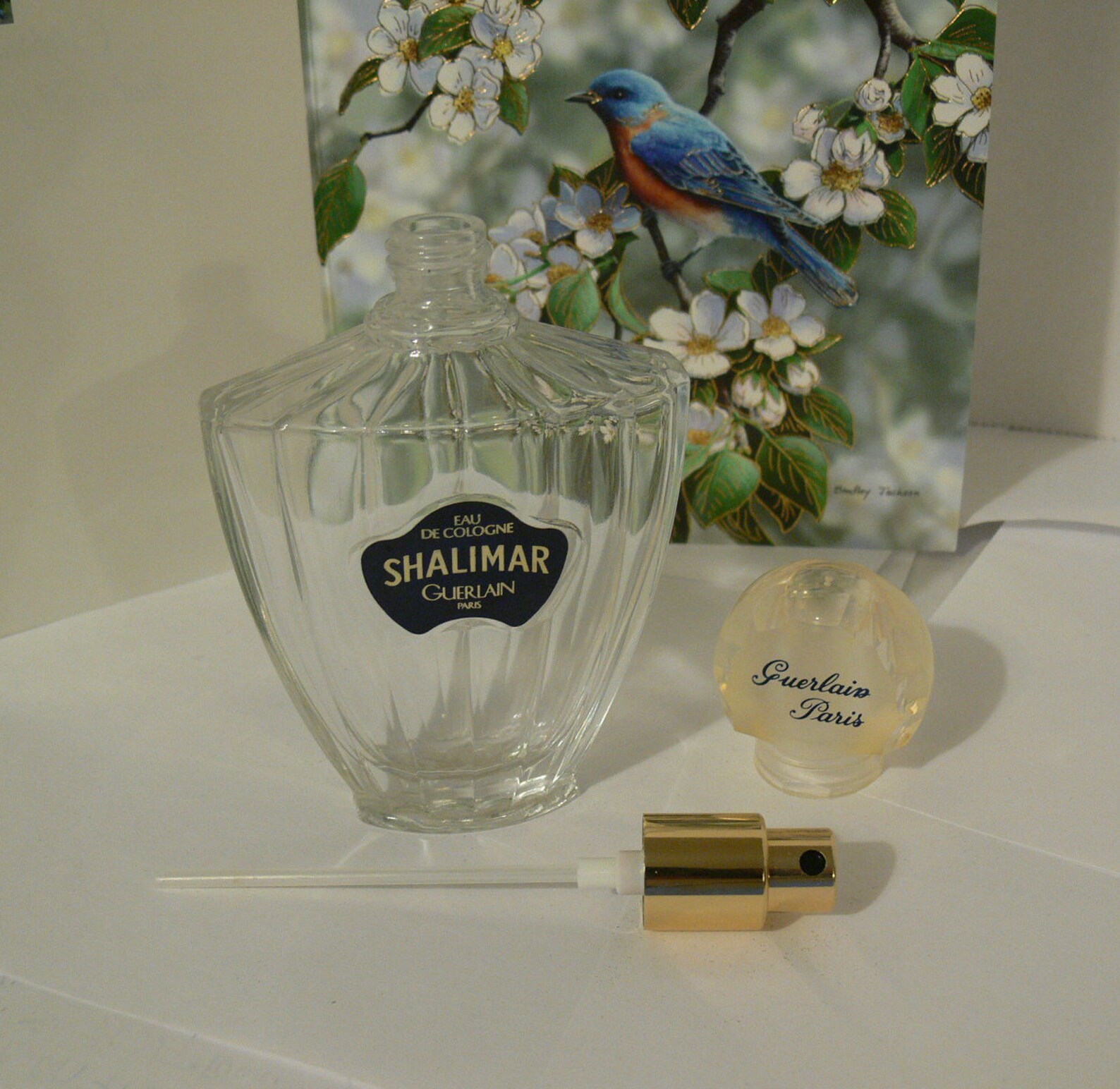 Vintage Shalimar Paris Glass Perfume Bottle With Spray 5 in Etsy