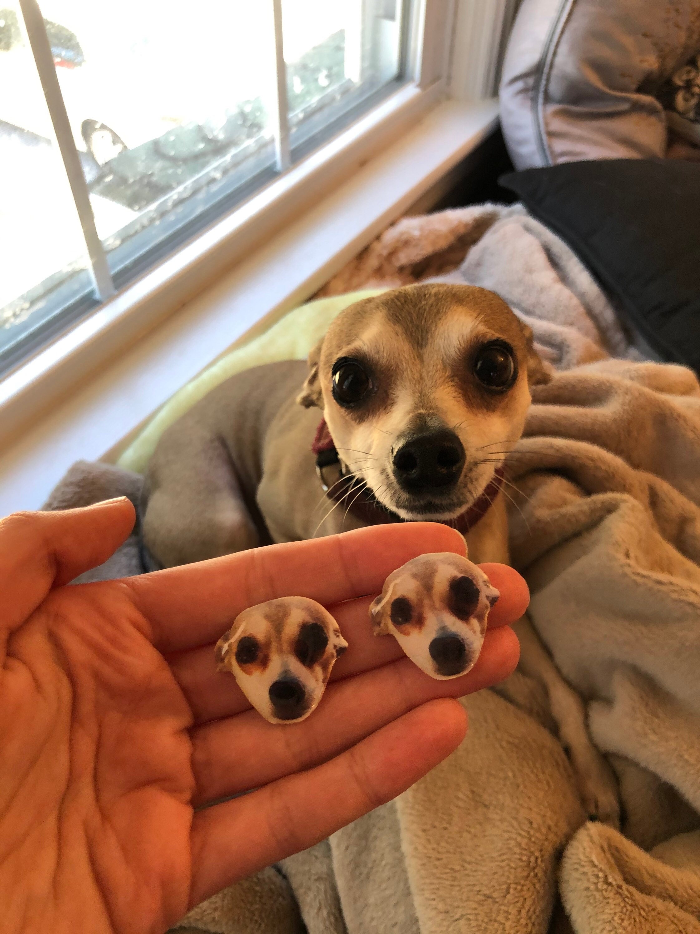 Custom Pet Earrings Custom Dog Earrings Pet Earrings Pet Etsy