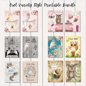 Owl Variety Printable Bundle | Feathered Owl Birds | Crafting Paper | Junk Journaling | Digital Scrapbook Paper | Download and Print Art