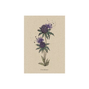 matabooks - Vintage botanische A6 Postkarte mit Blumenmotiv aus nachhaltigem Graspapier - Distel