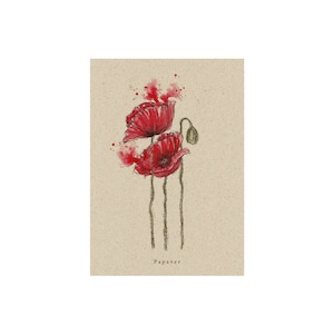 matabooks - Vintage botanische A6 Postkarte mit Blumenmotiv aus nachhaltigem Graspapier – Mohn