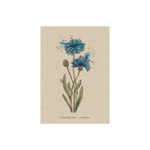 matabooks - Vintage botanische A6 Postkarte mit Blumenmotiv aus nachhaltigem Graspapier - Kornblume