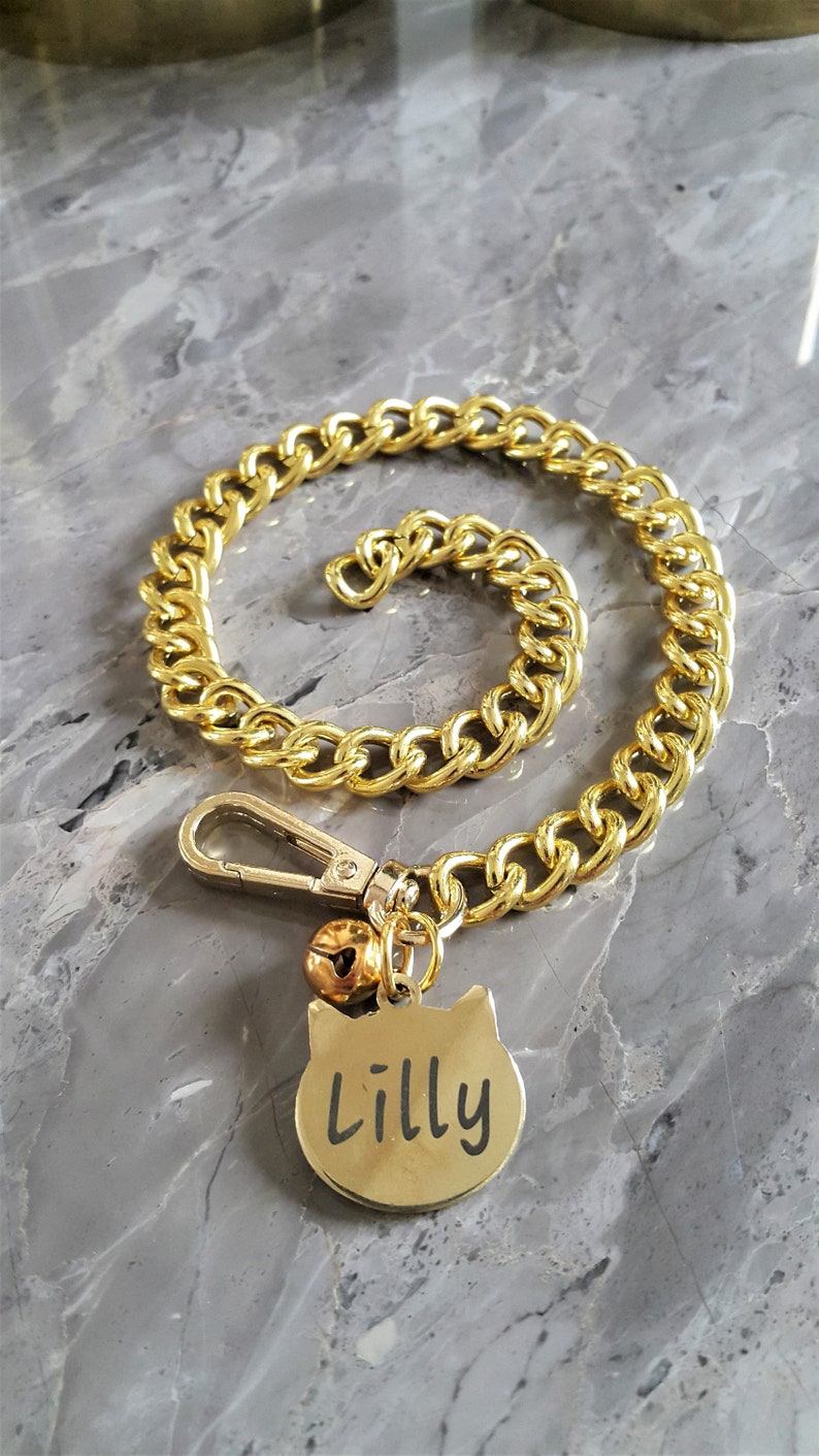 Gold Pet Collar With Steel Name Tag Chain Collar for Cats Etsy