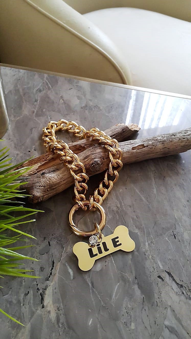 Gold Chain Dog Collar & Steel Bone Shaped Name Tag Pet Chain Etsy