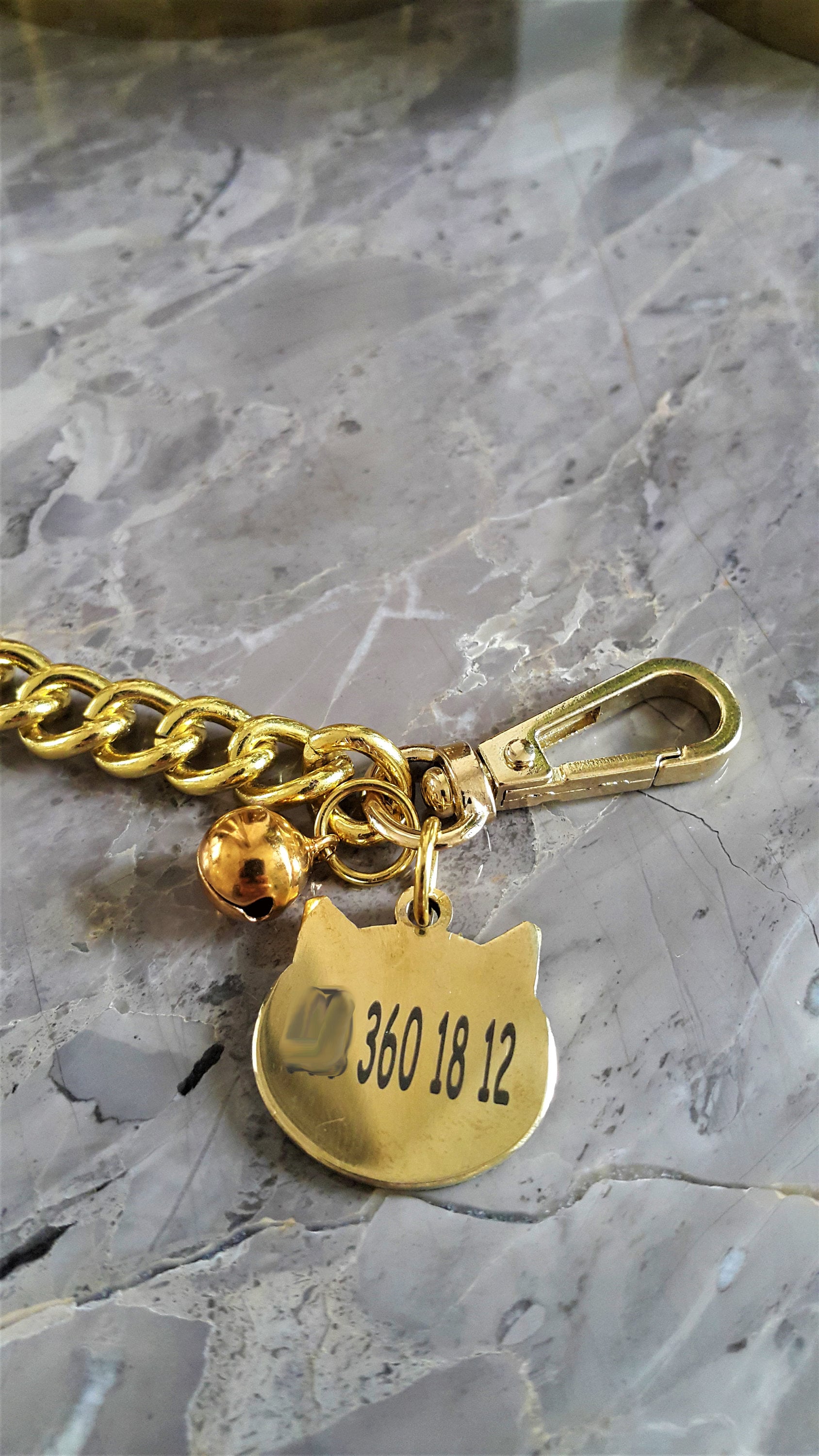 Gold Pet Collar With Steel Name Tag Chain Collar for Cats Etsy