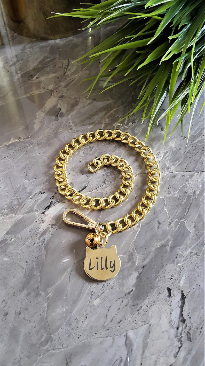 Gold Pet Collar With Steel Name Tag Chain Collar for Cats Etsy