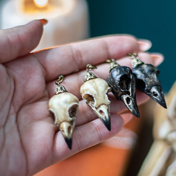 Boucles d'oreilles crâne de corbeau en résine, fausse taxidermie, bijoux végétaliens, crâne d'oiseau gothique, sorcellerie, décoration d'Halloween